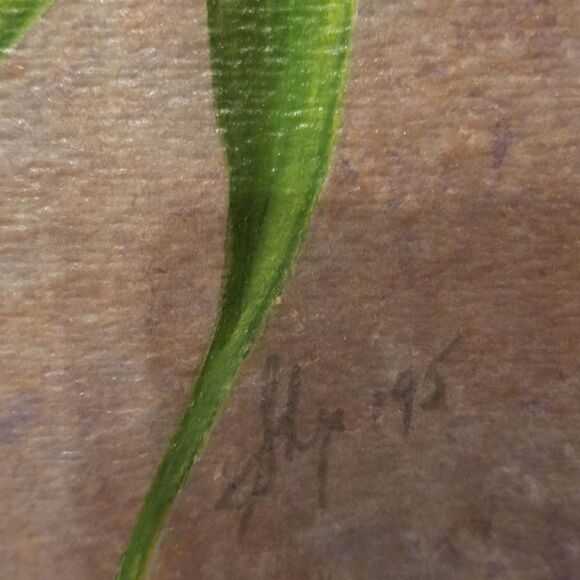 1995 signed Hummingbird painting w/matched mat - Picture 7 of 9